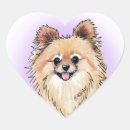 Search for pom pom stickers Pomeranian