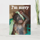 Search for apology cards Please forgive me