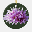 Search for crocus photography Botanical