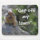 Search for squirrel meme Humour