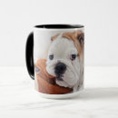 Search for biting mugs Pets