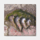 Search for pipes magnets Water