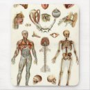 Search for human anatomy mousepads Medicine