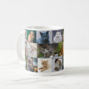 Search for domestic cats mugs Cute