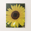 Search for giant sunflower puzzles Gold