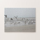 Search for seagull puzzles Travel