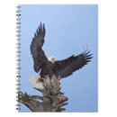 Search for leadership notebooks Strength