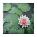 Search for lily pad tiles Flower