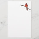 Search for cardinal stationery paper Nature