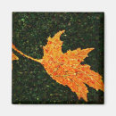 Search for fall leaf magnets Landscape