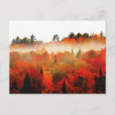 Search for autumn forest postcards River
