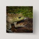Search for green frogs badges Bullfrog