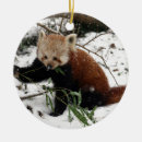 Search for red panda christmas tree decorations Bear