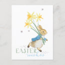 Search for peter rabbit cards Bunny