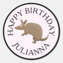 Search for cute armadillo stickers Cartoon
