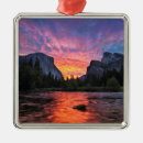 Search for vibrant christmas tree decorations Cliff
