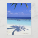 Search for shadow postcards Outdoors