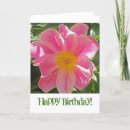 Search for pink peony birthday cards Photography