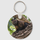 Search for arbor key rings Tree