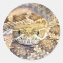 Search for rattlesnake stickers Reptile