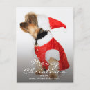 Search for full photo christmas cards Cute