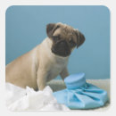 Search for bedding stickers Vertical