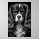 Search for cavaliers posters Animal