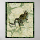 Search for frog painting posters Water