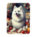 Search for eskimo dog magnets Puppy