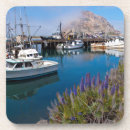 Search for california coasters Morro bay