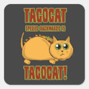 Search for taco cat stickers Funny