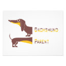 Search for sausage dog posters Pet