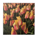 Search for pink tulips tiles Yellow