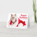Search for birman cards One animal