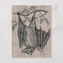 Search for steam punk postcards Illustration