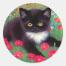 Search for tuxedo cat stickers Black and white cat