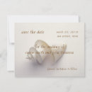 Search for sea shells save the dates Tropical