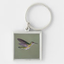 Search for around the world key rings Nature