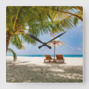 Search for tropical clocks Dominican republic