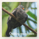Search for birdwatcher barware Wildlife