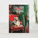 Search for rough collie christmas cards Collies
