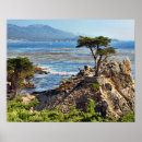 Search for misty trees posters Scenic