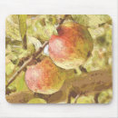 Search for apple tree mousepads Trees