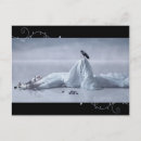 Search for beyond postcards Fantasy