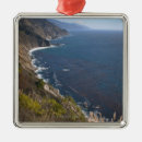 Search for big sur christmas tree decorations Nature