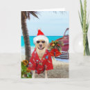 Search for yellow labrador christmas cards Humour