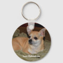 Search for resting key rings Dog