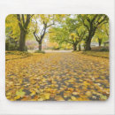 Search for autumn scene electronics Nature