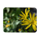 Search for gerbera daisy rectangular magnets Flower