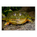 Search for vertebrates Wildlife